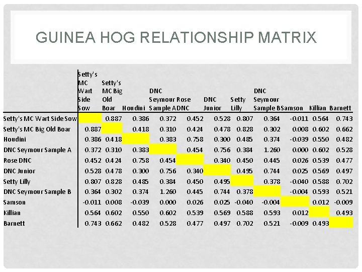 GUINEA HOG RELATIONSHIP MATRIX Setty's MC Wart Side Sow Setty's MC Big DNC Old