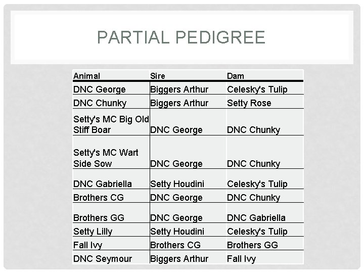 PARTIAL PEDIGREE Animal Sire Dam DNC George Biggers Arthur Celesky's Tulip DNC Chunky Biggers