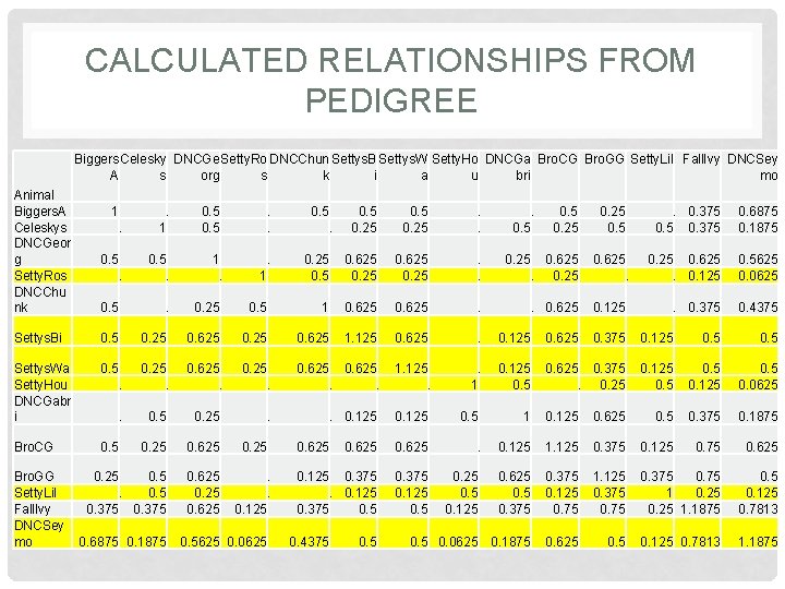 CALCULATED RELATIONSHIPS FROM PEDIGREE Biggers Celesky DNCGe Setty. Ro DNCChun Settys. B Settys. W