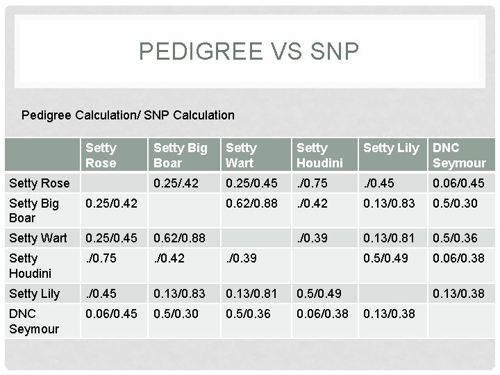 PEDIGREE VS SNP Pedigree Calculation/ SNP Calculation Setty Rose Setty Big Boar Setty Wart