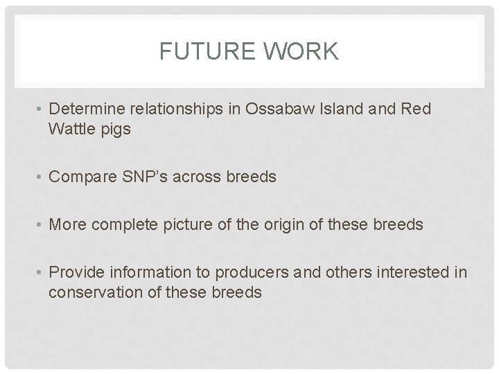 FUTURE WORK • Determine relationships in Ossabaw Island Red Wattle pigs • Compare SNP’s