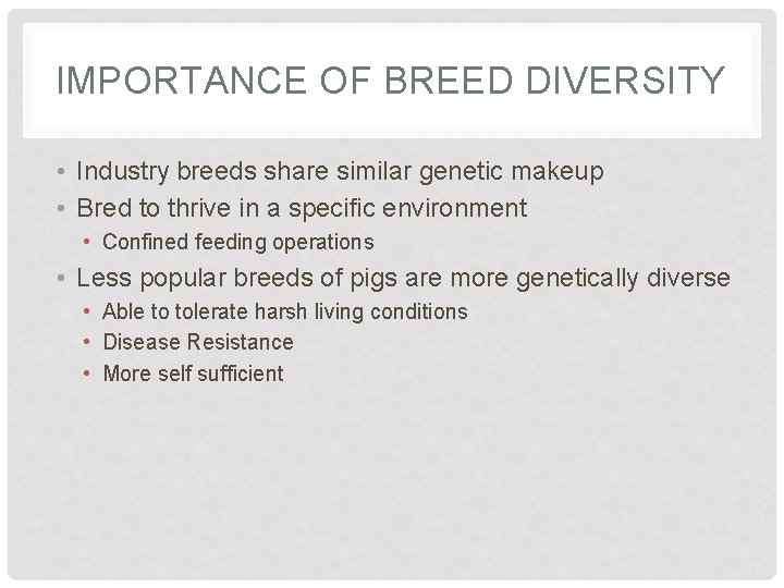 IMPORTANCE OF BREED DIVERSITY • Industry breeds share similar genetic makeup • Bred to