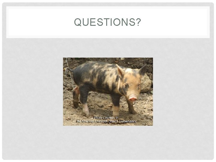 QUESTIONS? 