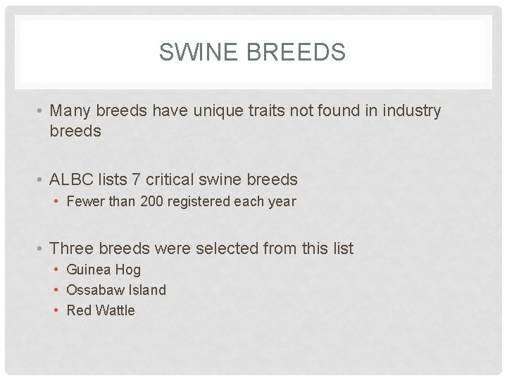 SWINE BREEDS • Many breeds have unique traits not found in industry breeds •