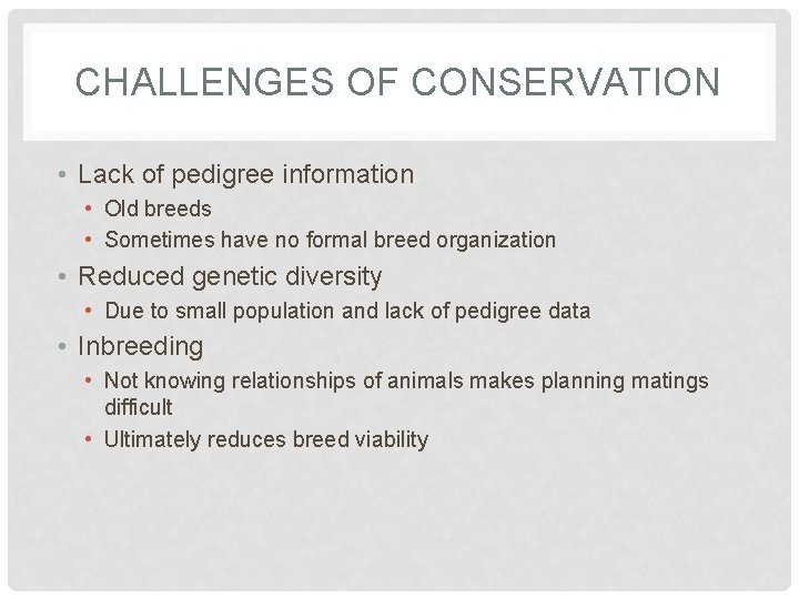CHALLENGES OF CONSERVATION • Lack of pedigree information • Old breeds • Sometimes have