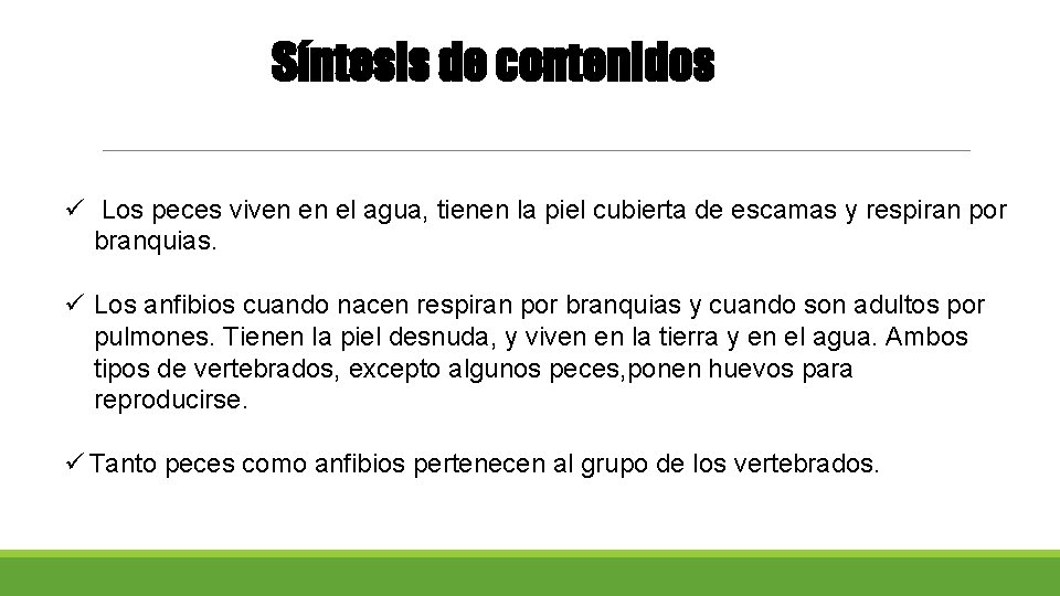 Síntesis de contenidos ü Los peces viven en el agua, tienen la piel cubierta