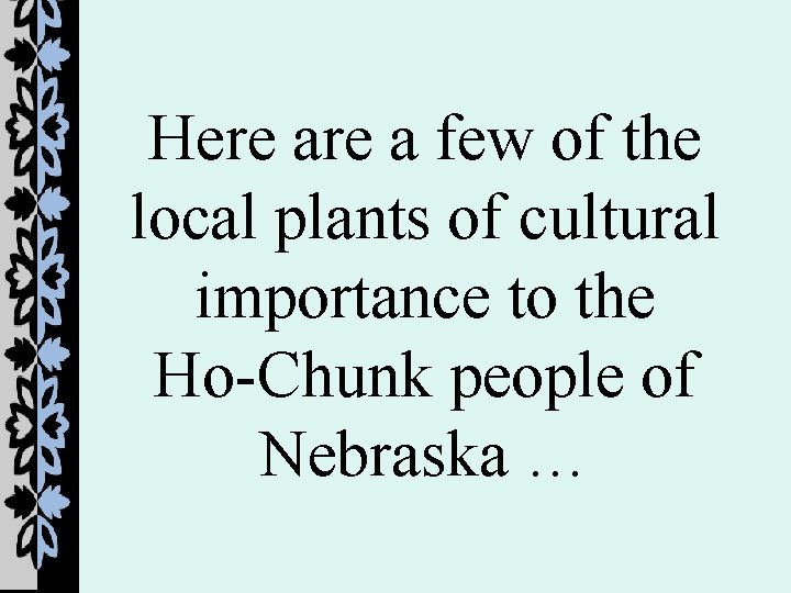 Here a few of the local plants of cultural importance to the Ho-Chunk people
