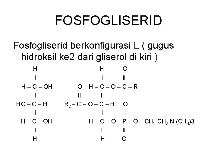 FOSFOGLISERID Fosfogliserid berkonfigurasi L ( gugus hidroksil ke 2 dari gliserol di kiri )