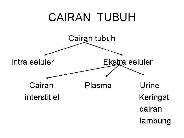 CAIRAN TUBUH Cairan tubuh Intra seluler Cairan interstitiel Ekstra seluler Plasma Urine Keringat cairan