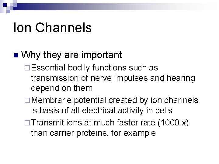 Ion Channels n Why they are important ¨ Essential bodily functions such as transmission
