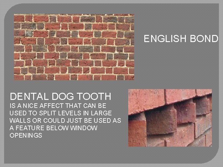 ENGLISH BOND DENTAL DOG TOOTH IS A NICE AFFECT THAT CAN BE USED TO