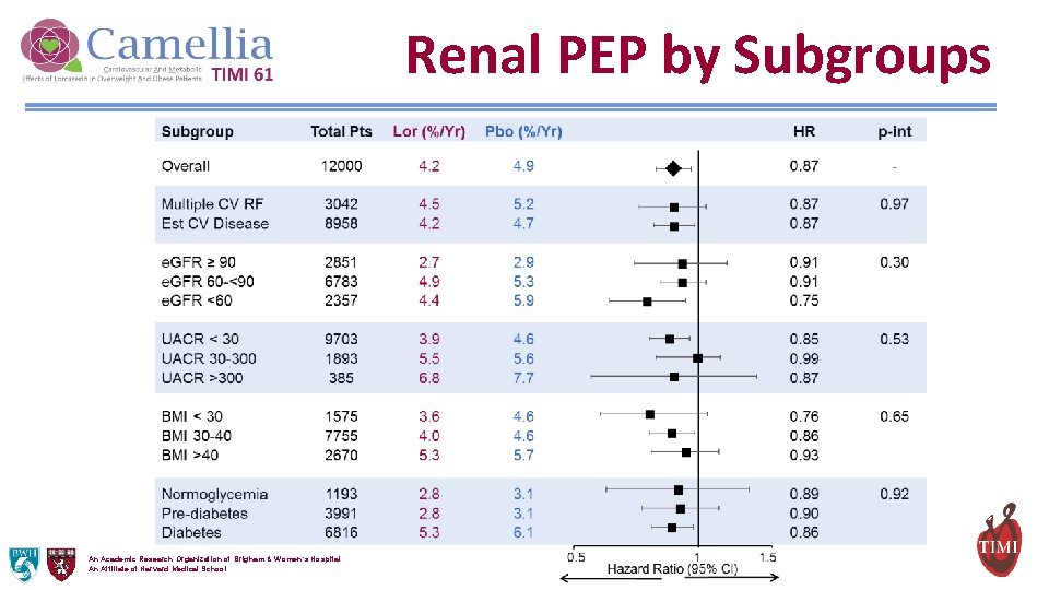 Renal PEP by Subgroups An Academic Research Organization of Brigham & Women’s Hospital An