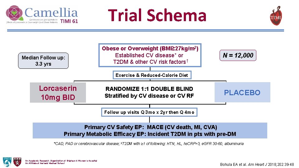 Trial Schema Median Follow up: 3. 3 yrs Obese or Overweight (BMI≥ 27 kg/m