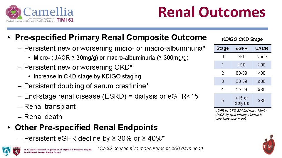 Renal Outcomes • Pre-specified Primary Renal Composite Outcome – Persistent new or worsening micro-