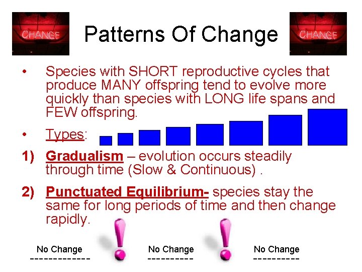 Patterns Of Change • Species with SHORT reproductive cycles that produce MANY offspring tend