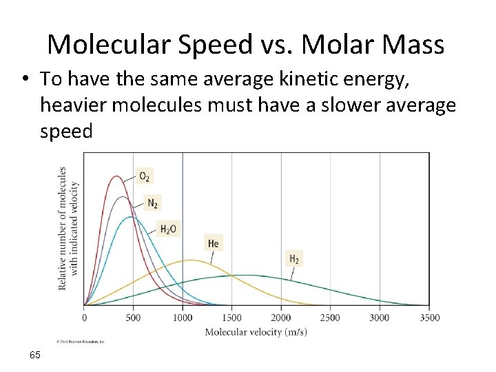 Molecular Speed vs. Molar Mass • To have the same average kinetic energy, heavier