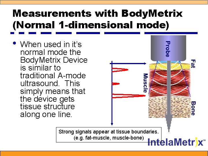 Measurements with Body. Metrix (Normal 1 -dimensional mode) • When used in it’s normal
