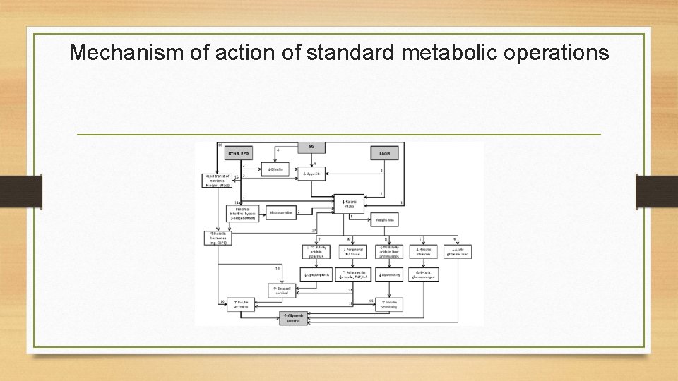 Mechanism of action of standard metabolic operations 