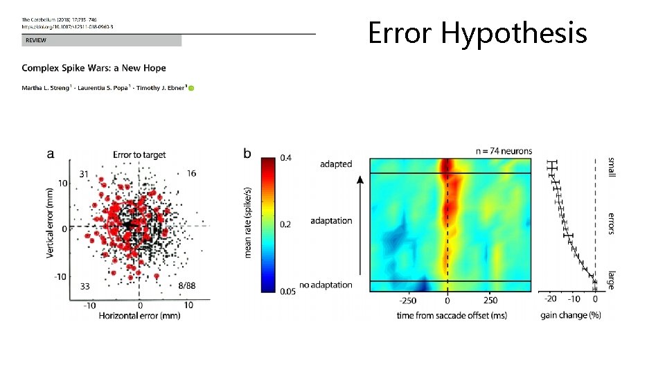 Error Hypothesis 