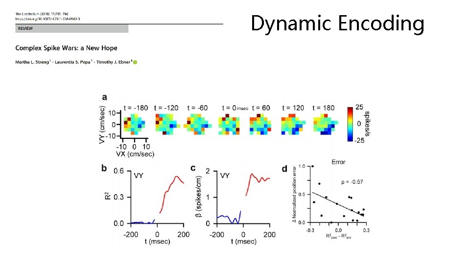 Dynamic Encoding 