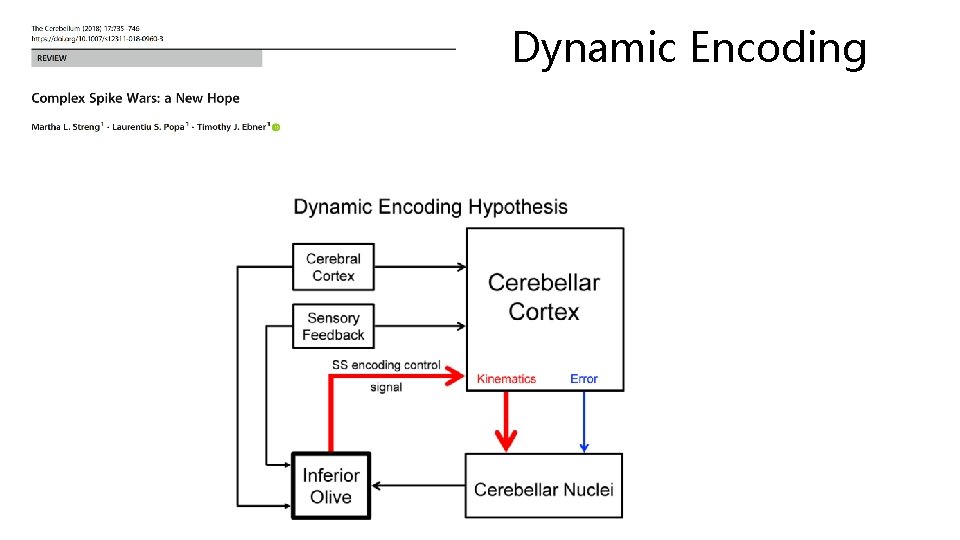 Dynamic Encoding 