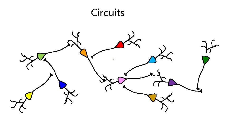 Circuits 