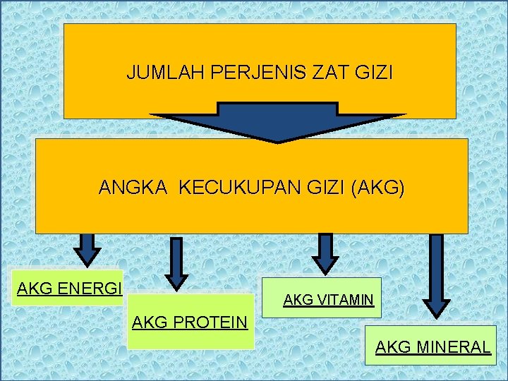 JUMLAH PERJENIS ZAT GIZI ANGKA KECUKUPAN GIZI (AKG) AKG ENERGI AKG VITAMIN AKG PROTEIN JUMLAH PERJENIS ZAT GIZI ANGKA KECUKUPAN GIZI (AKG) AKG ENERGI AKG VITAMIN AKG PROTEIN