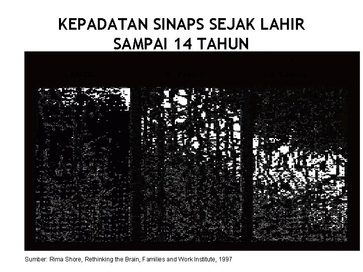 KEPADATAN SINAPS SEJAK LAHIR SAMPAI 14 TAHUN Sumber: Rima Shore, Rethinking the Brain, Families KEPADATAN SINAPS SEJAK LAHIR SAMPAI 14 TAHUN Sumber: Rima Shore, Rethinking the Brain, Families