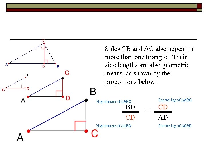Sides CB and AC also appear in more than one triangle. Their side lengths