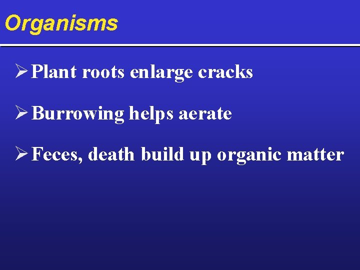 Organisms Ø Plant roots enlarge cracks Ø Burrowing helps aerate Ø Feces, death build