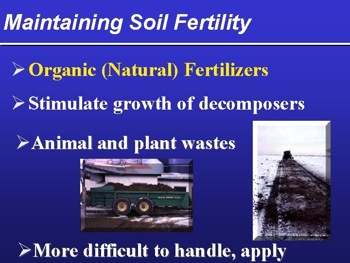 Maintaining Soil Fertility Ø Organic (Natural) Fertilizers Ø Stimulate growth of decomposers ØAnimal and