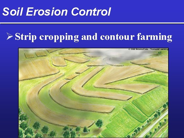 Soil Erosion Control Ø Strip cropping and contour farming 