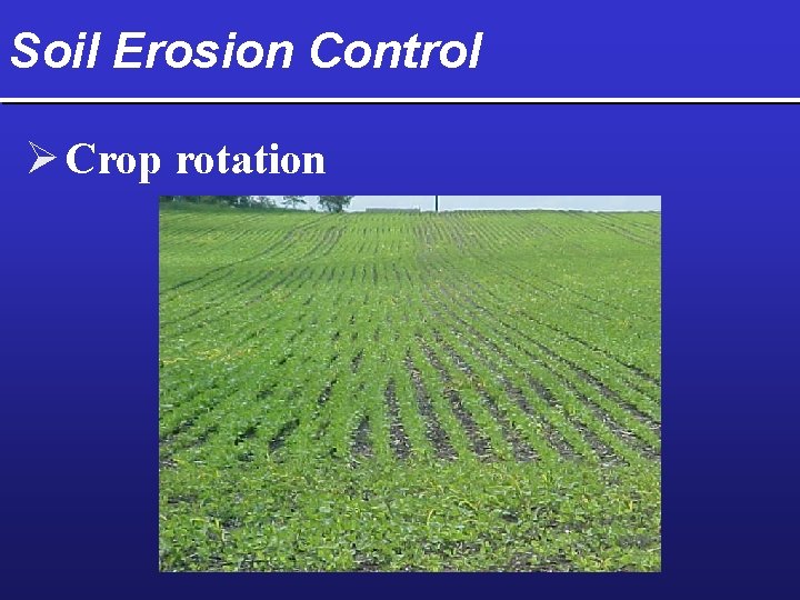 Soil Erosion Control Ø Crop rotation 