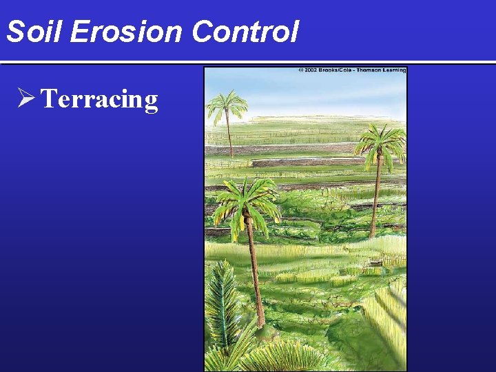Soil Erosion Control Ø Terracing 