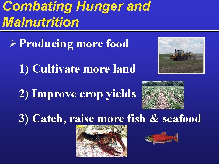 Combating Hunger and Malnutrition Ø Producing more food 1) Cultivate more land 2) Improve