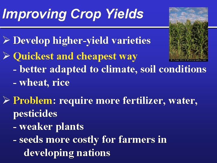 Improving Crop Yields Ø Develop higher-yield varieties Ø Quickest and cheapest way - better