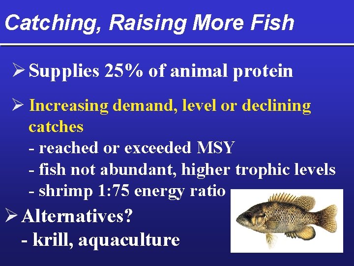 Catching, Raising More Fish Ø Supplies 25% of animal protein Ø Increasing demand, level