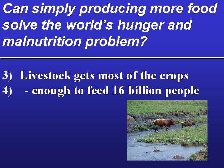 Can simply producing more food solve the world’s hunger and malnutrition problem? 3) Livestock