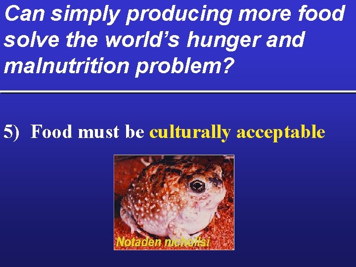 Can simply producing more food solve the world’s hunger and malnutrition problem? 5) Food
