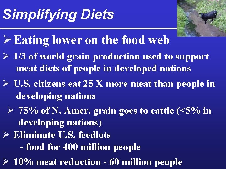 Simplifying Diets Ø Eating lower on the food web Ø 1/3 of world grain