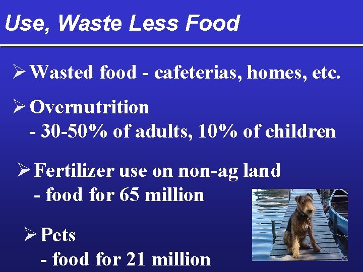 Use, Waste Less Food Ø Wasted food - cafeterias, homes, etc. Ø Overnutrition -
