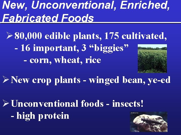 New, Unconventional, Enriched, Fabricated Foods Ø 80, 000 edible plants, 175 cultivated, - 16