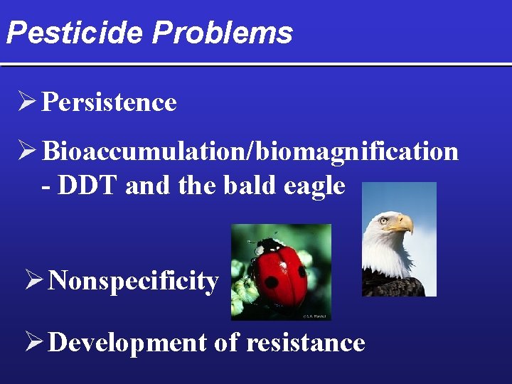 Pesticide Problems Ø Persistence Ø Bioaccumulation/biomagnification - DDT and the bald eagle Ø Nonspecificity