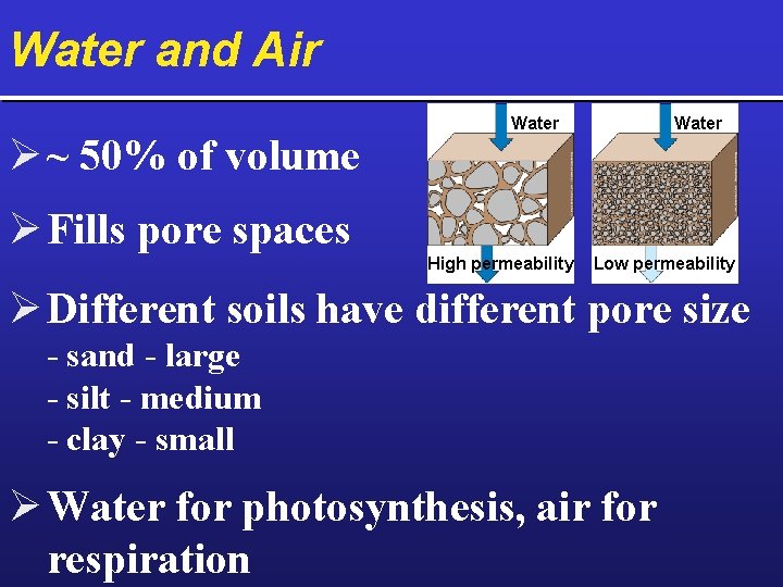 Water and Air Ø ~ 50% of volume Water Ø Fills pore spaces High
