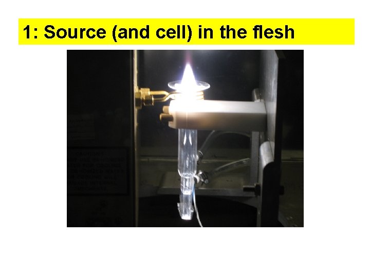 1: Source (and cell) in the flesh 