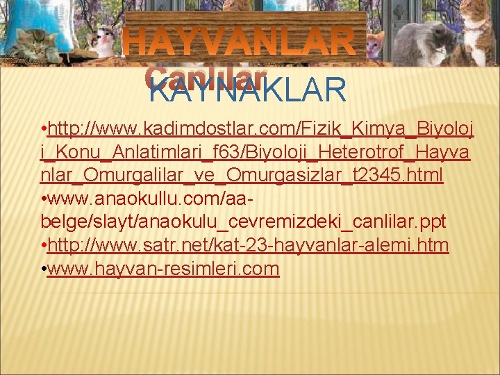 Mikroskobik Canlılar KAYNAKLAR • http: //www. kadimdostlar. com/Fizik_Kimya_Biyoloj i_Konu_Anlatimlari_f 63/Biyoloji_Heterotrof_Hayva nlar_Omurgalilar_ve_Omurgasizlar_t 2345. html •