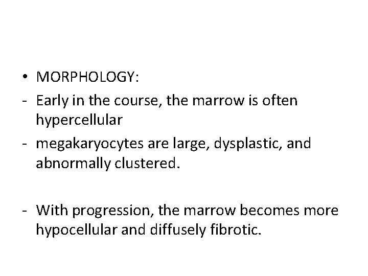  • MORPHOLOGY: - Early in the course, the marrow is often hypercellular -