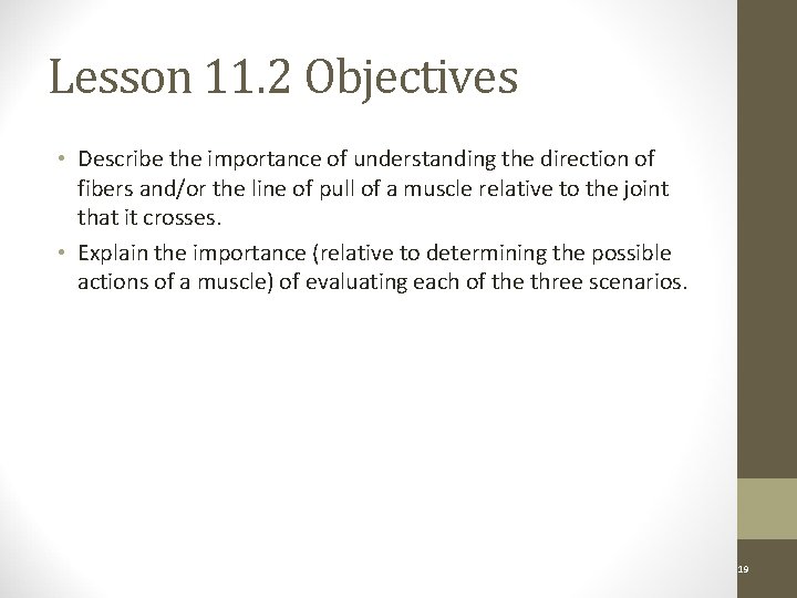 Lesson 11. 2 Objectives • Describe the importance of understanding the direction of fibers