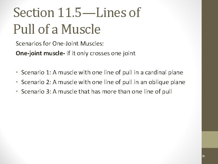 Section 11. 5—Lines of Pull of a Muscle Scenarios for One-Joint Muscles: One-joint muscle-