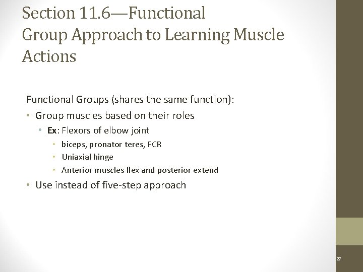 Section 11. 6—Functional Group Approach to Learning Muscle Actions Functional Groups (shares the same